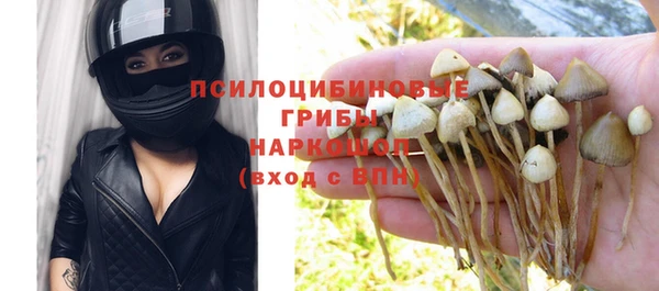 мяу мяу мука Абинск