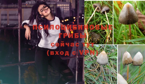 мяу мяу мука Абинск